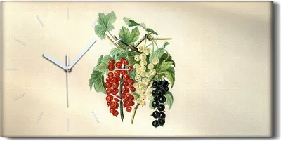 Produktbild von Wohnzimmer-Bild Leinwand Uhr 60x30 Gemälde Früchte Zweig Blätter Kunst - weiße Hände