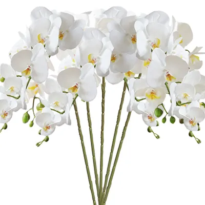 5 Kunstorchideen, 80 cm, weiß, Phalaenopsis-Blüten