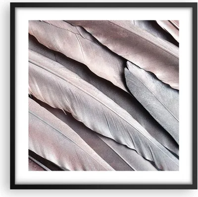 Produktbild von Gerahmtes Poster - Schwarzer Rahmen - Federn Flügel Feder - 50x50 cm - Wand Bild - Wanddeko - Wandbilder - Kunstposter - Wandposter - Bilderrahmen - Bilder - Kunstdruck - P2BAC50x50-5114