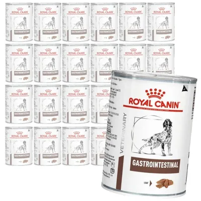 Produktbild von Royal Canin Veterinary VHN Hunde-Gastrointestinal 24x400g Nassfutter Pastete