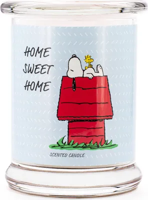 Immagine prodotto di Home Sweet Home - Duftkerze 250 g di arachidi