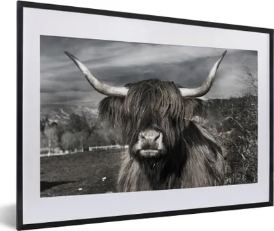 Produktbild von MuchoWow® Gerahmtes Poster Schottischer Highlander - Tiere - Hörner 60x40 cm - Poster mit Schwarzem Bilderrahmen Wandposter Rahmen Foto Bilder - Schlafzimmer - Plakat in Rahmen - Drucken