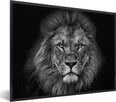 Produktbild von MuchoWow® Gerahmtes Poster Löwe - Tiere - Schwarz - Weiß 80x60 cm - Poster mit Schwarzem Bilderrahmen Wandposter Rahmen Foto Bilder - Schwarzem - Mit Gestell