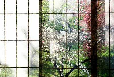 Produktbild von Tadessi Fototapete | Fenster | 4.00 m x 2.70 m | Grün | Rosa | Wandbild | Digitaldruck