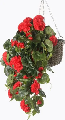 Produktbild von Kunstliche Geranienpflanze - rot - Hangepflanze - 70 cm