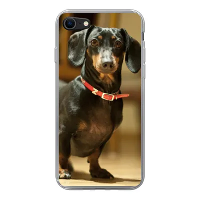 Produktbild von MuchoWow® Handyhülle Schutzhülle Hülle für iPhone 8 Porträt eines schwarzen Dackels Silikon Softcase Handy Hülle - Schutzhaube