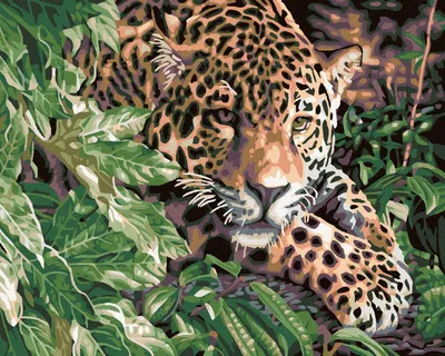 Immagine prodotto di Zuty - Dipingere con i numeri - GEPARD, 40x50 cm, tela tesa su telaio