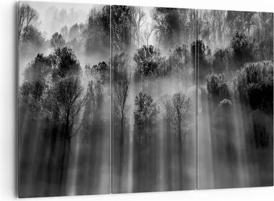 Produktbild von Bild auf Leinwand - Leinwandbild - 3 Teile - Bäume drinnen Nebel - 165x110cm - Wand Bild - Wanddeko - Wandbilder - Leinwanddruck - Bilder - Wanddekoration - Leinwand bilder - Wandbild - CE165x110-4889