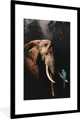 Produktbild von MuchoWow® MuchoWow® Gerahmtes Poster Elefant - Papagei - Baum 60x90 cm - Poster mit zchwarzem Bilderrahmen - Dekoration - Wandposter Wohnzimmer - Hochwertig