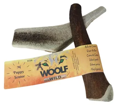 Immagine prodotto di Corno di cervo per cani, 40-55g. Osso da masticazione naturale per cani. Corno di cervo resistente e duraturo, ideale per masticare