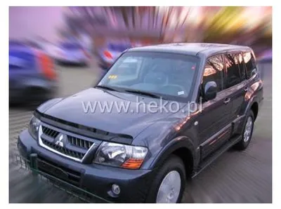 Image de Déflecteur de capot pour MITSUBISHI PAJERO WAGON (2000–2006)