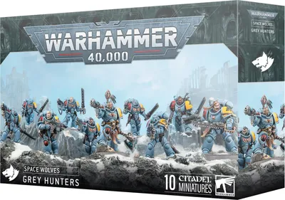 Image de W40k : Space Wolves - Chasseurs Gris (10 figurines)