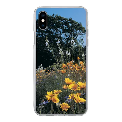 Produktbild von MuchoWow® Handyhülle Schutzhülle Hülle für iPhone Xs Blumen - Natur - Farbe Silikon Softcase Handy Hülle - Handytasche