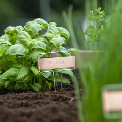 Image de Kit de poinçons pour étiquette de plantes