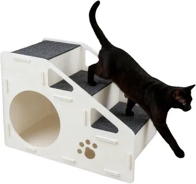 Produktbild von Famanu Hundetreppe 2-in-1 faltbar - Vielseitig einsetzbar - 60x45x40cm - Mehrfarbig