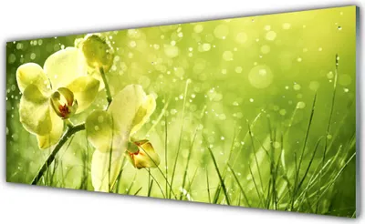 Produktbild von Acrylglasbilder 125x50 Wandbild Druck Gras Blumen Pflanzen