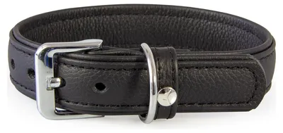 Produktbild von Das Lederband Hundehalsband Denver schwarz/schwarz, Länge: 65 cm / Breite: 35 mm