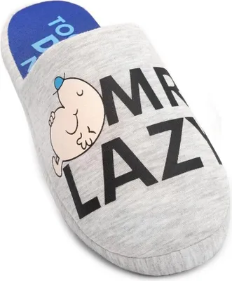 Obrázok produktu pre Pánske papuče NS6767 (40,5 EU - 42 EU) (sivá/čierna/modrá)