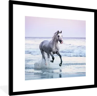 Produktbild von MuchoWow® Gerahmtes Poster Pferd - Pilz - Strand 40x40 cm - Poster mit Schwarzem Bilderrahmen Wandposter Rahmen Foto Bilder - Poster - Plakat im Rahmen