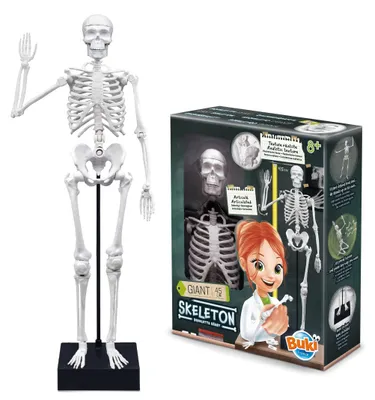 Produktbild von Buki 2180, Experimentier-Set, Anatomie, 8 Jahr(e), Mehrfarbig