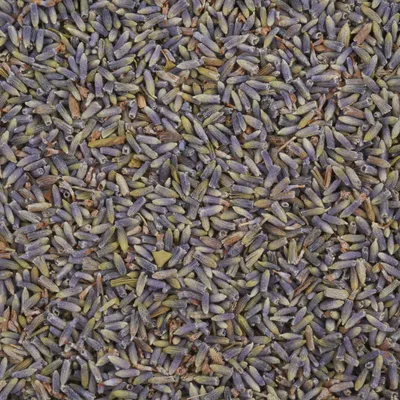 Produktbild von Lavendelblüten, 50g Btl., getrocknet
