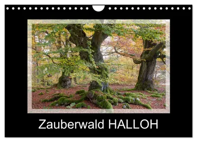Produktbild von Zauberwald HALLOH (Wandkalender 2027 DIN A4 quer), CALVENDO Monatskalender