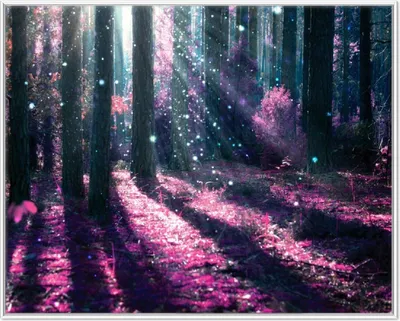 Produktbild von Wallario Wandbild Fantasie im Wald - Pinke Blumen in der Sonne, Größe: 40,30 x 50,30 cm, Poster mit weißem Aluminiumrahmen