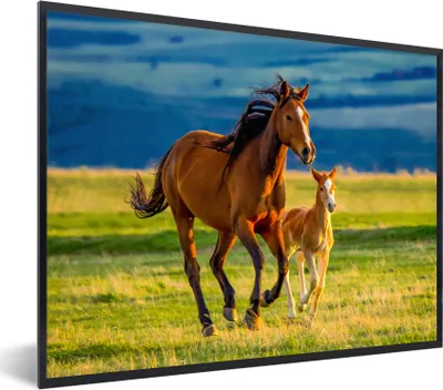 Produktbild von MuchoWow® Gerahmtes Poster Pferde - Gras - Tiere - Landschaft - Natur 80x60 cm - Poster mit Schwarzem Bilderrahmen Wandposter Rahmen Foto Bilder - Schwarzem - Mit Gestell