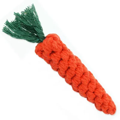 Produktbild von Dog Fantasy Karotte 20cm