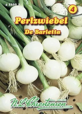 Artikelbild 1 von 'Perlzwiebel De Barletta' aus der Kategorie Zwiebelsamen