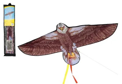 Image de Cerf-volant en nylon « Aigle » 138 x 69 cm, dans un sac