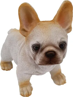 Produktbild von Dekofigur Bulldogge-Welpe 13 x 8 x 15 cm