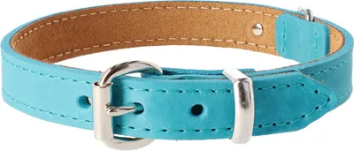 Produktbild von Dingo Soft Leather Lederhalsband Größe M 2,0X50 cm (38-42 cm) Aqua Blau