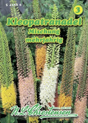 Produktbild von [STREICHUNG 2026] Kleopatranadel Mischung  | Blumensamenmischung von N.L. Chrestensen