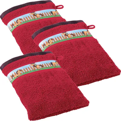 Produktbild von Erwin Müller Kinder-Waschhandschuh 3er-Pack rot 15x21 cm