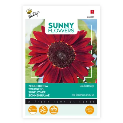 Image de Tournesol Moulin Rouge | Graines de tournesol de Buzzy Seeds
