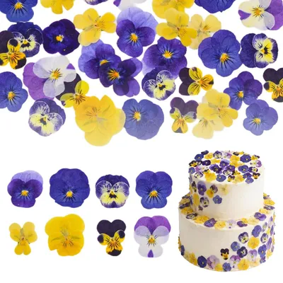 40er-Set getrocknete essbare Blumen zur Kuchendekoration, bunt