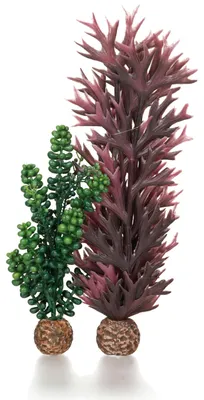 Produktbild von Aquariendeko biOrb 55073 Seeperlen & Seetang olivgrün, künstliche Wasserpflanzen