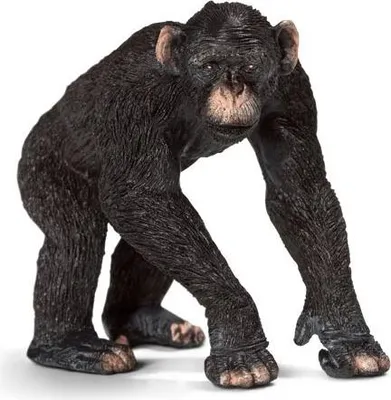Immagine prodotto di Scimpanzé maschio Schleich