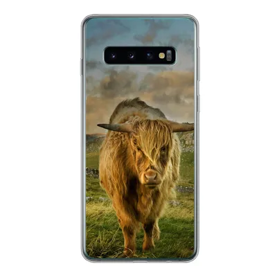 Produktbild von MuchoWow® Handyhülle Schutzhülle Hülle für Samsung Galaxy S10 Schottischer Highlander - Gras - Berg Silikon Softcase Handy Hülle - Handytasche