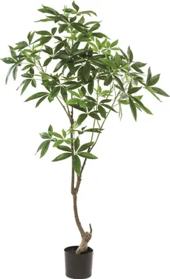Produktbild von artplants.de Kunst Pachira Baum CANTSA, Kunststamm, 150cm - Künstlicher Baum