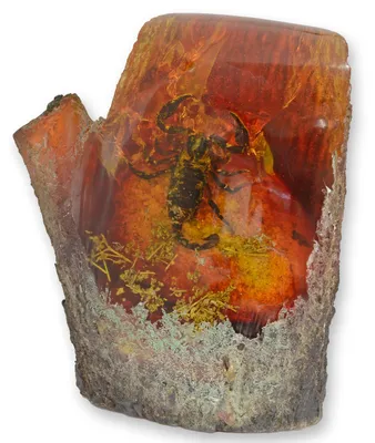 Produktbild von Künstliches Bernstein-Fossil Skorpion Replikat Retro Design Dekoration