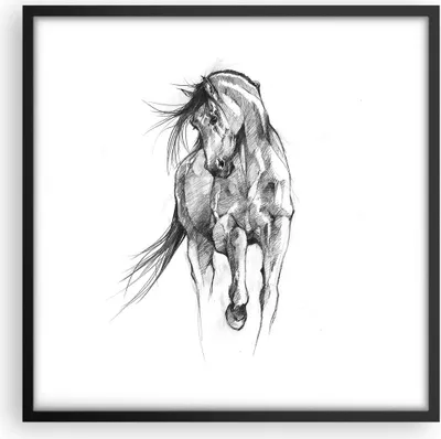 Produktbild von Gerahmtes Poster - Schwarzer Rahmen - Pferd Galopp Tier - 50x50 cm - Wand Bild - Wanddeko - Wandbilder - Kunstposter - Wandposter - Bilderrahmen - Bilder - Kunstdruck - P2BAC50x50-5080