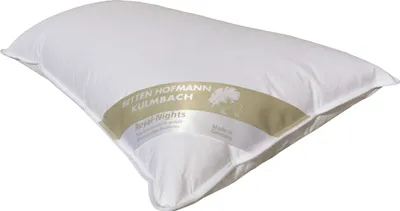 Produktbild von Betten Hofmann Daunenkissen Kopfkissen 40x80 cm 450 g Daunen Kissen prall 100% neue Daunen