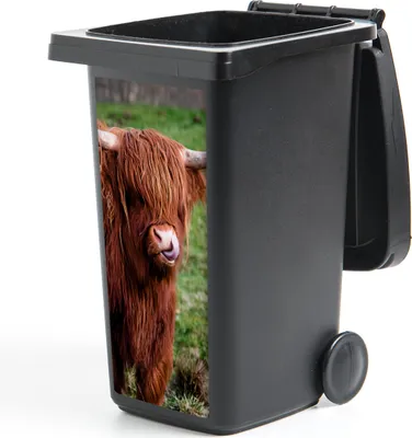 Produktbild von MuchoWow® Mülltonnenaufkleber Schottischer Highlander - Porträt - Schottische Kuh 44x98 cm - Containeraufkleber - Aufkleber - Mülltonnen-Aufkleber