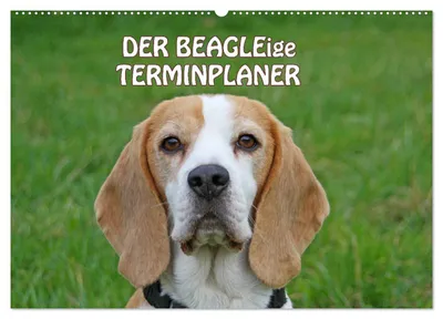 Produktbild von DER BEAGLEige TERMINPLANER (Wandkalender 2027 DIN A2 quer), CALVENDO Monatskalender