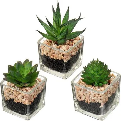 Immagine prodotto di Piante da salotto artificiali, piante decorative da interno, set da 3, altezza 10,5 cm, in vasi di vetro
