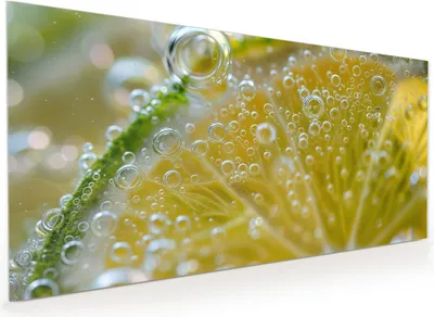 Produktbild von Küchenrückwand Spritzschutz Glas mit Motiv Zitronenscheibe 40 x 40 cm
