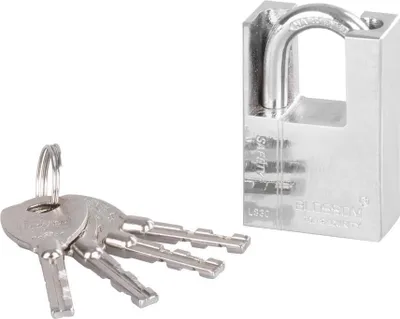 Immagine prodotto di Lucchetto Blossom LS0340, 40 mm, Hi-Security, di sicurezza