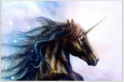 Produktbild von Wallario Wandbild Einhorn gezeichnet auf Leinwand, Größe: 61 x 91,50 cm, Poster mit weißem Aluminiumrahmen